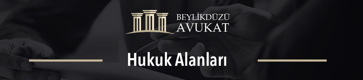 Hukuk Alanları